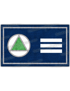 PARCHE PECHO JEFE SECCION (UD)